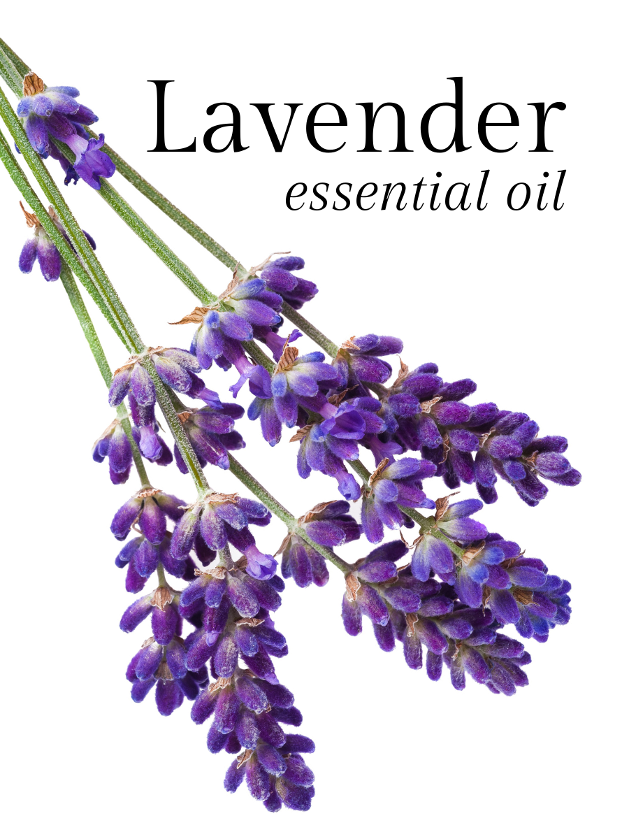 Lavender Essential Oil