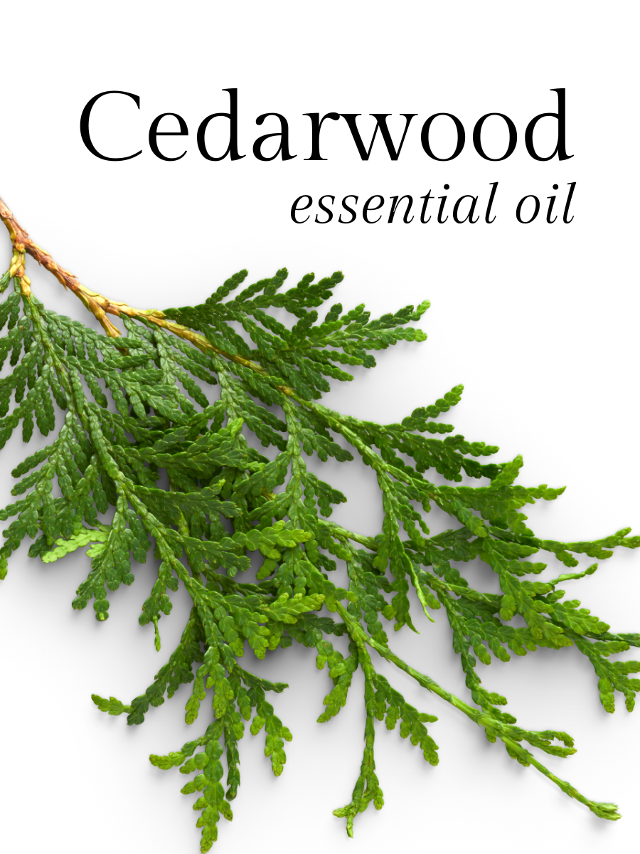 Cedarwood Essential Oil