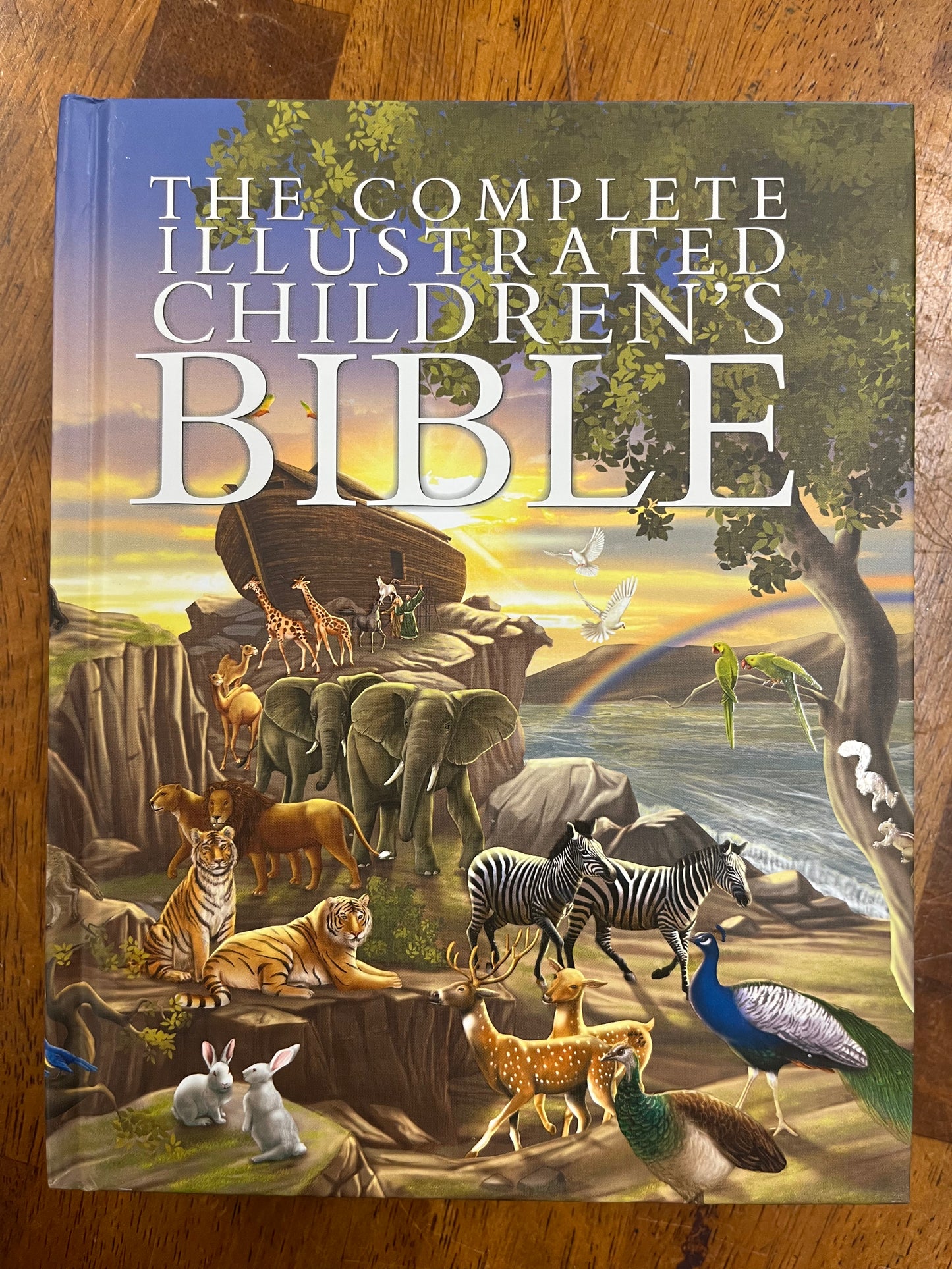 Illustrated Children's Bible
