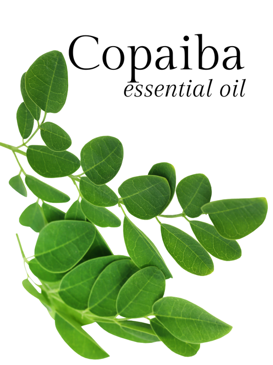 Copaiba Essential Oil