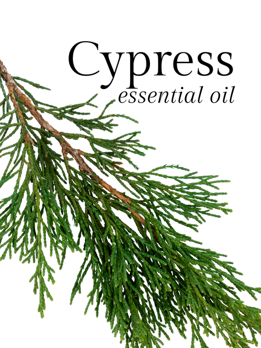Cypress Essential Oil