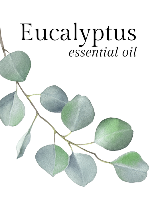 Eucalyptus Essential Oil