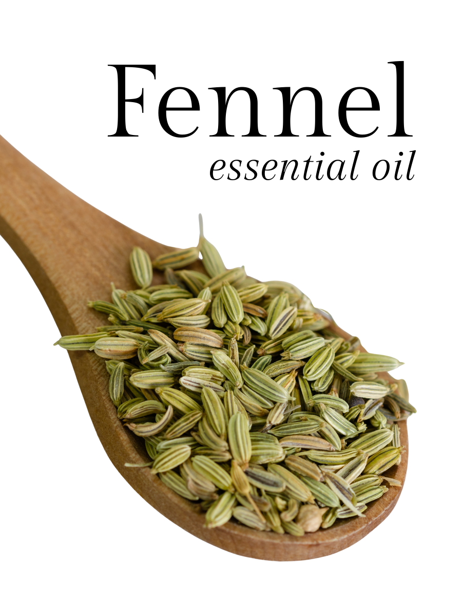 Fennel Essential Oil