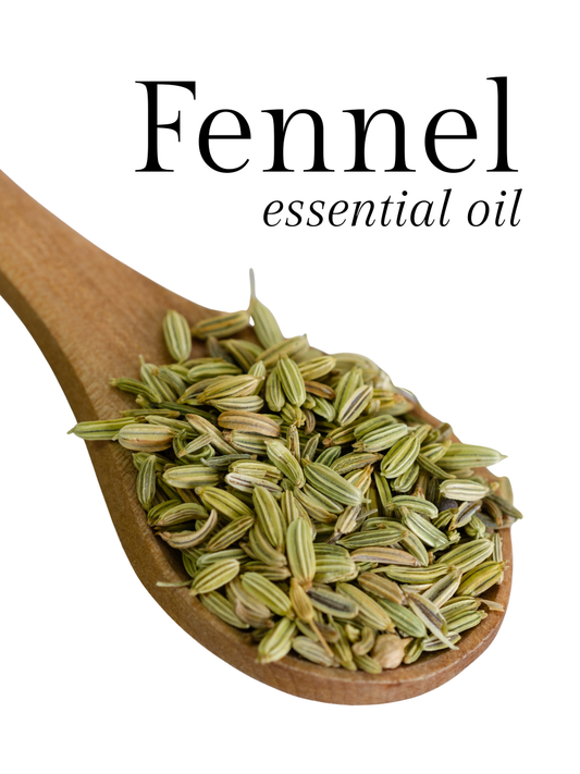 Fennel Essential Oil