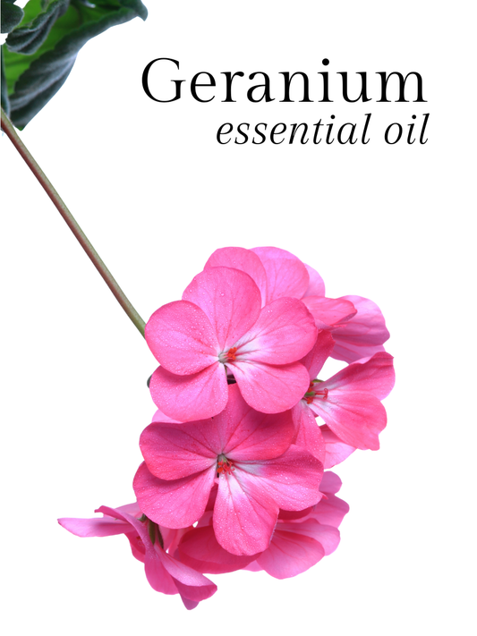 Geranium Essential Oil