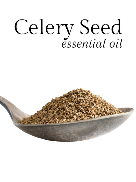 Celery Seed Essential Oil