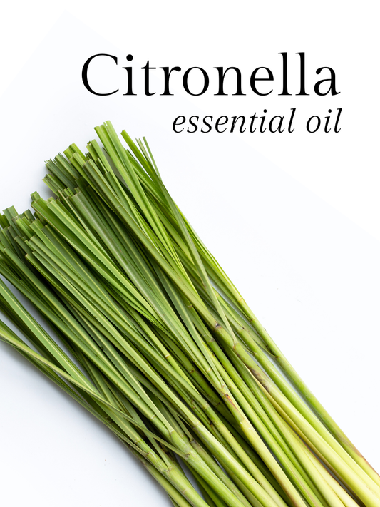 Citronella Essential Oil