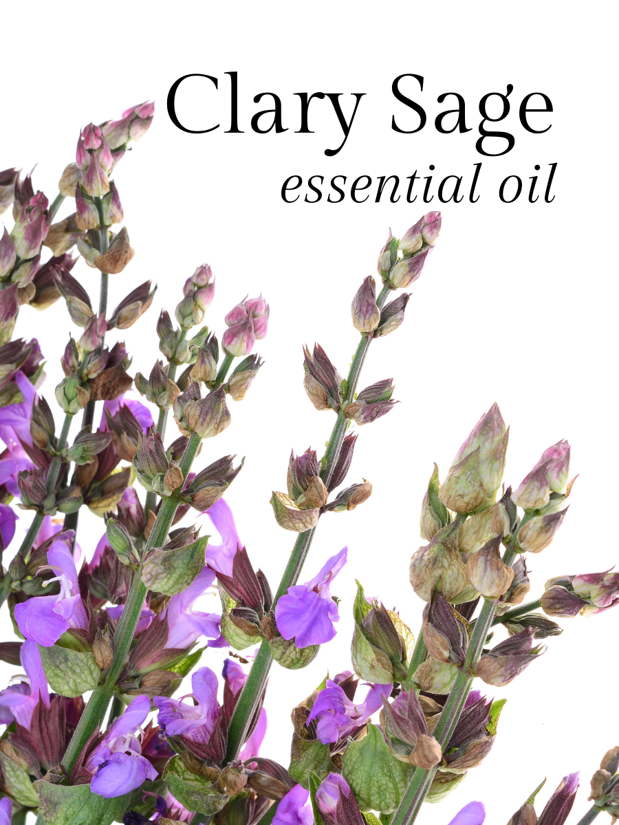 Clary Sage Essential Oil