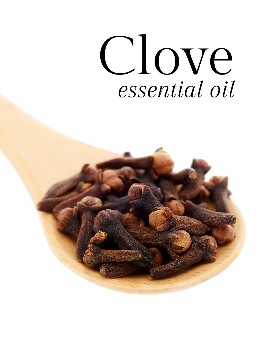 Clove Essential Oil