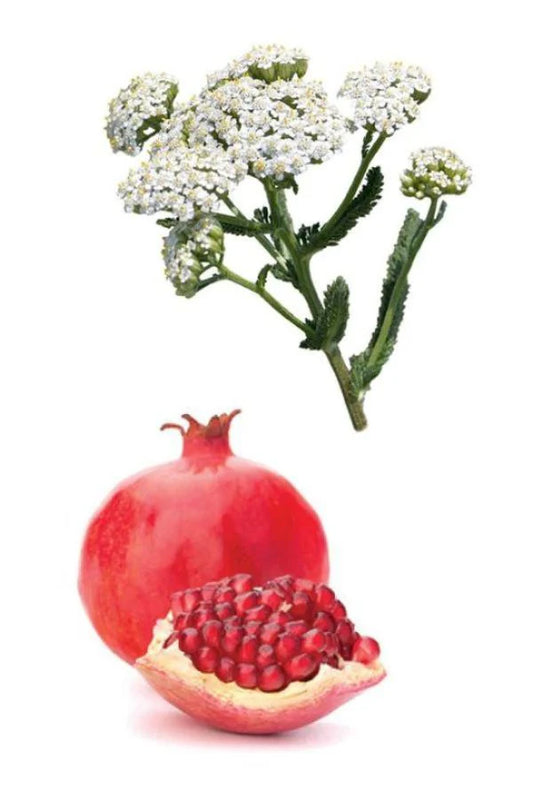 Yarrow Pom Serum