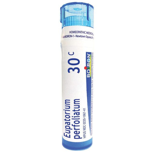 Eupatorium Perfoliatum, 80 Pellets