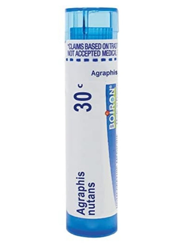 Agraphis Nutans, Approx. 80 Pellets