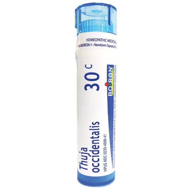 Thuja Occidentalis, 80 Pellets